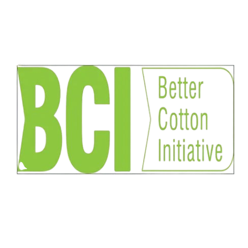 BCI-removebg-preview - Copy